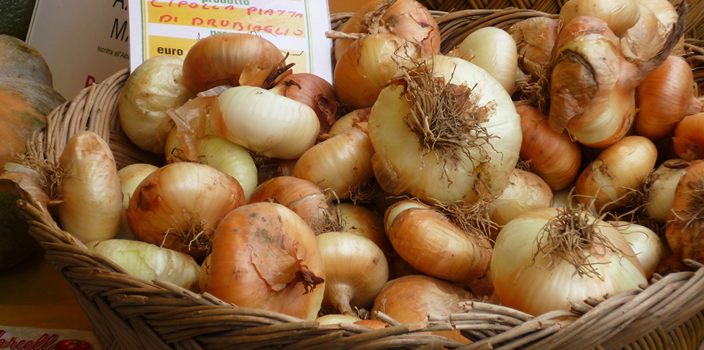 Fantasia di cipolle la Salone del Gusto